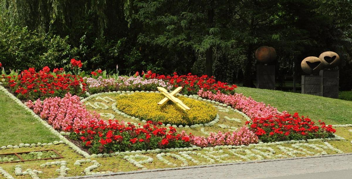 Apartma V Srdci Podebrad Poděbrady Екстериор снимка