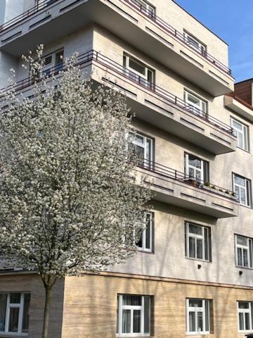 Apartma V Srdci Podebrad Poděbrady Екстериор снимка